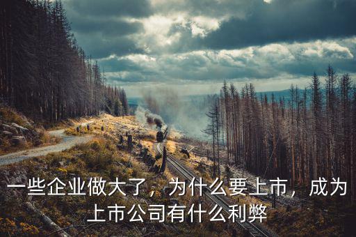 一些企業(yè)做大了，為什么要上市，成為上市公司有什么利弊