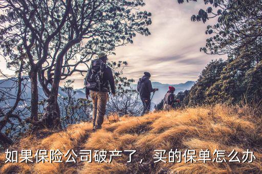 如果保險(xiǎn)公司破產(chǎn)了，買(mǎi)的保單怎么辦