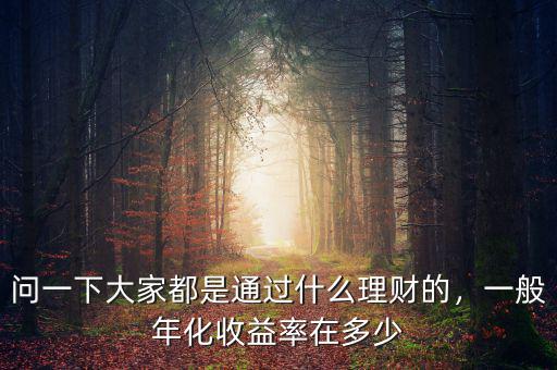 問(wèn)一下大家都是通過(guò)什么理財(cái)?shù)?，一般年化收益率在多? class=