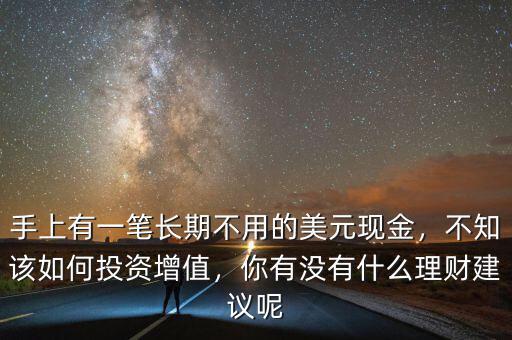 手上有一筆長(zhǎng)期不用的美元現(xiàn)金，不知該如何投資增值，你有沒有什么理財(cái)建議呢