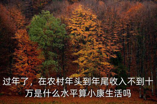 過(guò)年了，在農(nóng)村年頭到年尾收入不到十萬(wàn)是什么水平算小康生活嗎