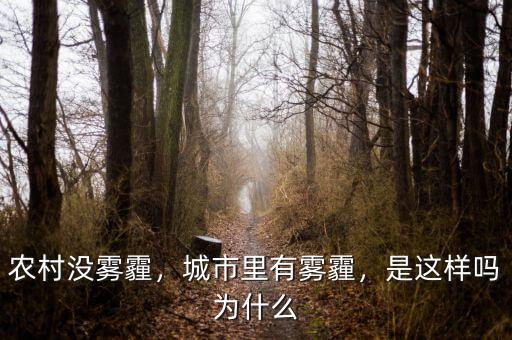農(nóng)村沒(méi)霧霾，城市里有霧霾，是這樣嗎為什么