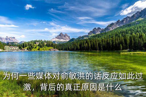 為何一些媒體對俞敏洪的話反應(yīng)如此過激，背后的真正原因是什么