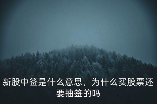 新股中簽是什么意思，為什么買股票還要抽簽的嗎