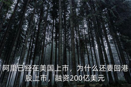 阿里已經(jīng)在美國上市，為什么還要回港股上市，融資200億美元