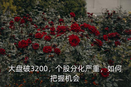 大盤破3200，個股分化嚴重，如何把握機會