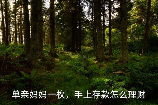 單親媽媽一枚，手上存款怎么理財(cái)