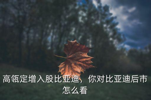 高瓴定增入股比亞迪，你對比亞迪后市怎么看
