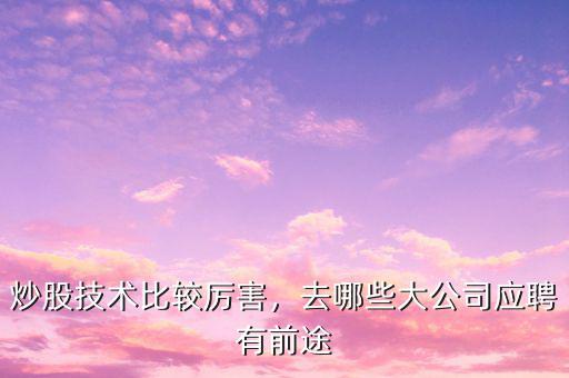 炒股技術(shù)比較厲害，去哪些大公司應(yīng)聘有前途