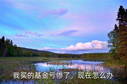我買的基金虧慘了，現(xiàn)在怎么辦