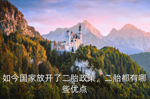 如今國(guó)家放開(kāi)了二胎政策，二胎都有哪些優(yōu)點(diǎn)