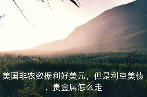 美國(guó)非農(nóng)數(shù)據(jù)利好美元，但是利空美債，貴金屬怎么走