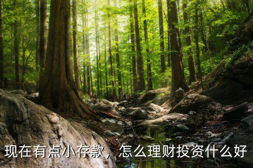 現(xiàn)在有點(diǎn)小存款，怎么理財(cái)投資什么好