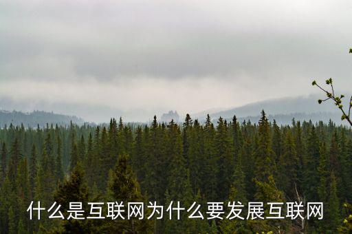 互聯(lián)網發(fā)展指數(shù)是什么,互聯(lián)網未來發(fā)展趨勢是什么