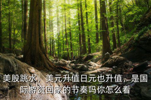 美股跳水，美元升值日元也升值，是國際游資回家的節(jié)奏嗎你怎么看
