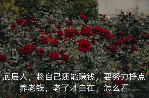 底層人，趁自己還能賺錢，要努力掙點養(yǎng)老錢，老了才自在，怎么看