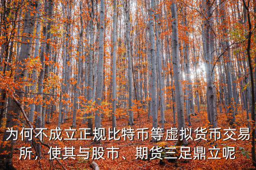 為何不成立正規(guī)比特幣等虛擬貨幣交易所，使其與股市、期貨三足鼎立呢