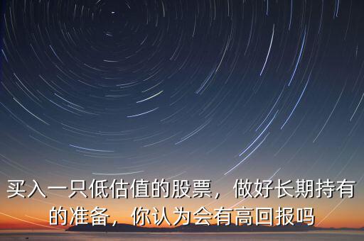 買入一只低估值的股票，做好長期持有的準備，你認為會有高回報嗎
