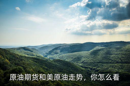 原油期貨和美原油走勢，你怎么看