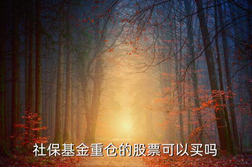 社保買了獐子島多少股票,社?；鹬貍}(cāng)的股票可以買嗎