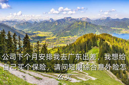 公司下個月安排我去廣東出差，我想給自己買個保險，請問短期綜合意外險怎么買