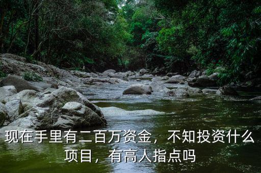 現(xiàn)在手里有二百萬資金，不知投資什么項目，有高人指點嗎