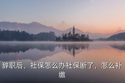 辭職后，社保怎么辦社保斷了，怎么補(bǔ)繳