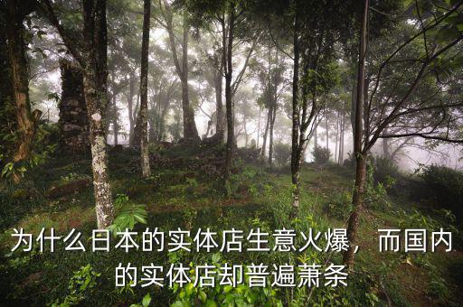 為什么日本的實體店生意火爆，而國內的實體店卻普遍蕭條