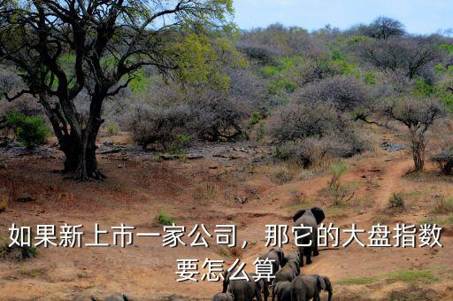 如果新上市一家公司，那它的大盤指數(shù)要怎么算