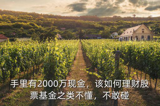 手里有2000萬現(xiàn)金，該如何理財(cái)股票基金之類不懂，不敢碰