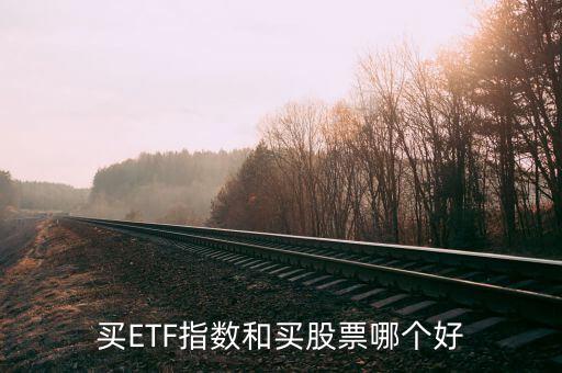 下半年買(mǎi)什么股票好,買(mǎi)ETF指數(shù)和買(mǎi)股票哪個(gè)好