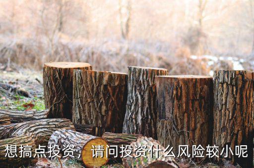想搞點投資，請問投資什么風險較小呢