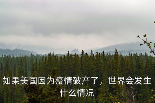 如果美國因為疫情破產(chǎn)了，世界會發(fā)生什么情況
