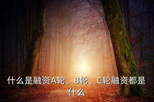 什么是融資A輪、B輪、C輪融資都是什么