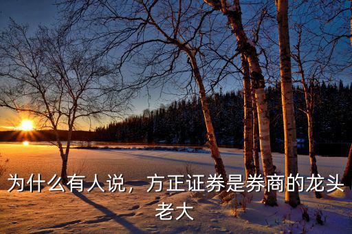 為什么有人說，方正證券是券商的龍頭老大