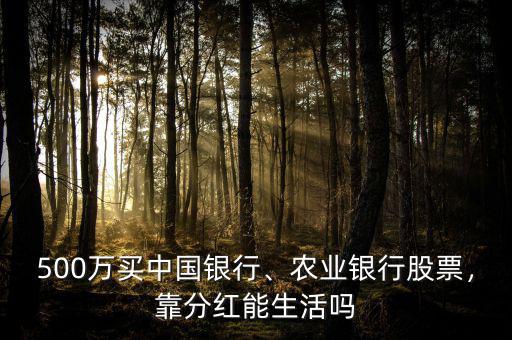 500萬(wàn)買(mǎi)中國(guó)銀行、農(nóng)業(yè)銀行股票，靠分紅能生活嗎