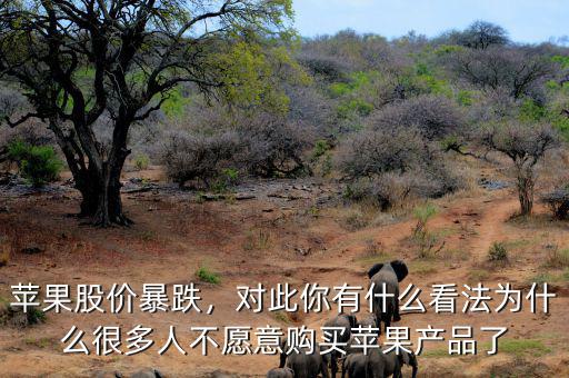 蘋果股價暴跌，對此你有什么看法為什么很多人不愿意購買蘋果產(chǎn)品了