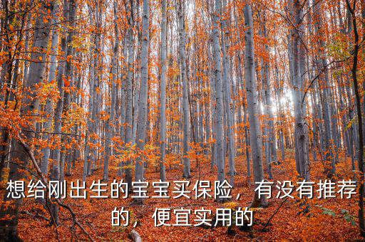 想給剛出生的寶寶買保險(xiǎn)，有沒(méi)有推薦的，便宜實(shí)用的