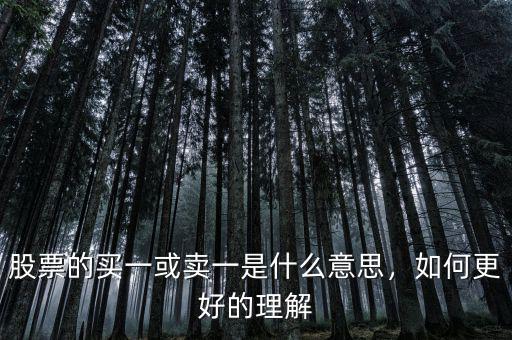 股票的買一或賣一是什么意思，如何更好的理解