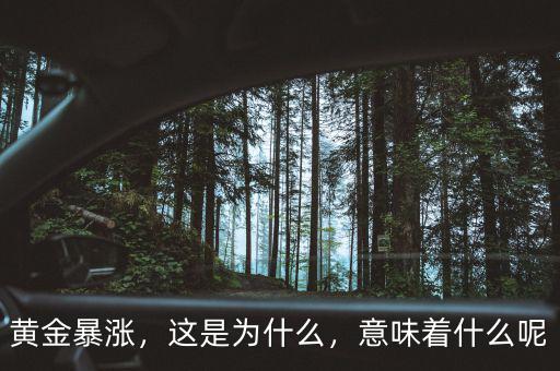 黃金暴漲，這是為什么，意味著什么呢