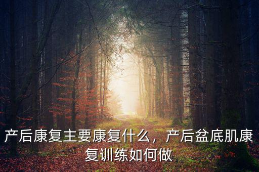 產(chǎn)后康復(fù)主要康復(fù)什么，產(chǎn)后盆底肌康復(fù)訓(xùn)練如何做