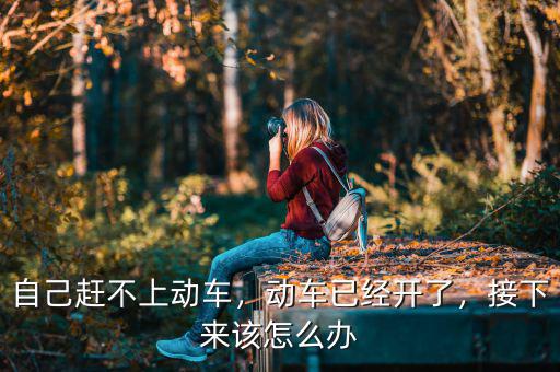 自己趕不上動(dòng)車，動(dòng)車已經(jīng)開了，接下來該怎么辦