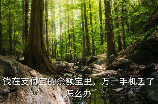錢在支付寶的余額寶里，萬一手機(jī)丟了怎么辦