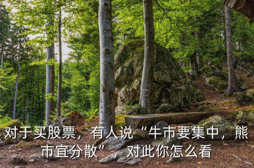 對(duì)于買股票，有人說“牛市要集中，熊市宜分散”，對(duì)此你怎么看