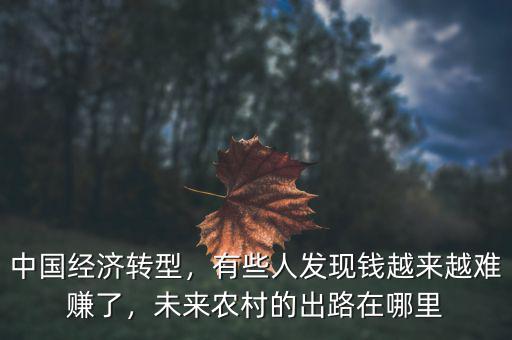 中國經(jīng)濟(jì)轉(zhuǎn)型，有些人發(fā)現(xiàn)錢越來越難賺了，未來農(nóng)村的出路在哪里