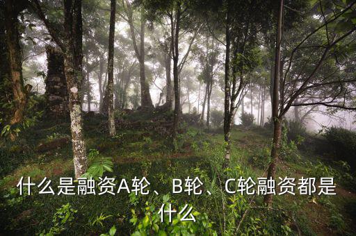 什么是融資A輪、B輪、C輪融資都是什么