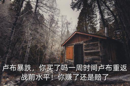 盧布暴跌，你買了嗎一周時(shí)間盧布重返戰(zhàn)前水平！你賺了還是賠了