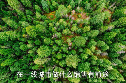 二線(xiàn)銷(xiāo)售什么意思,還是上一二線(xiàn)城市干銷(xiāo)售