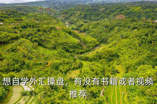 想自學外匯操盤，有沒有書籍或者視頻推薦