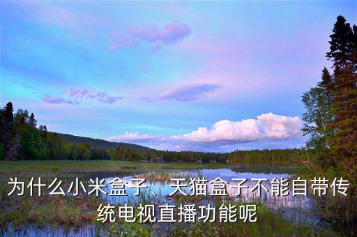 為什么小米盒子、天貓盒子不能自帶傳統(tǒng)電視直播功能呢